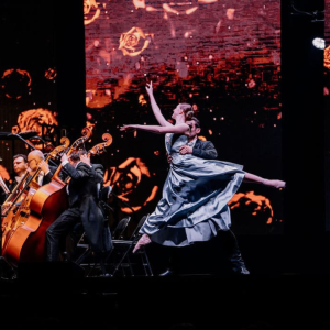 Vienna-Johann-Strauss-05