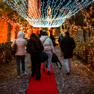 castelo magico-2023-18